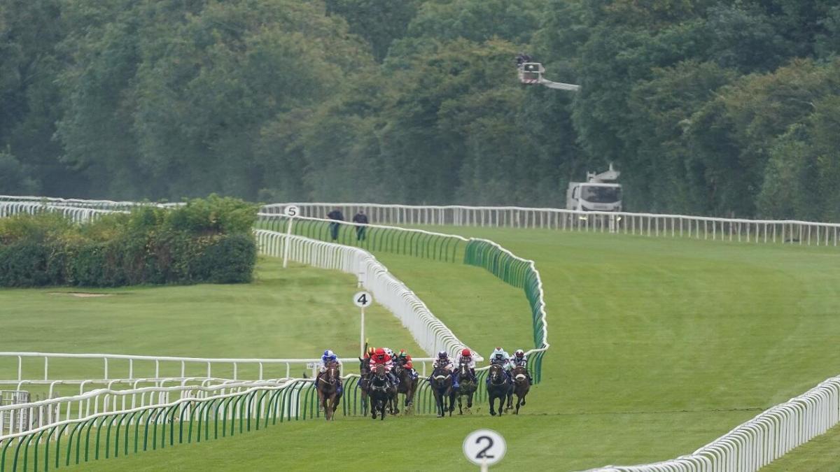 Salisbury racecourse